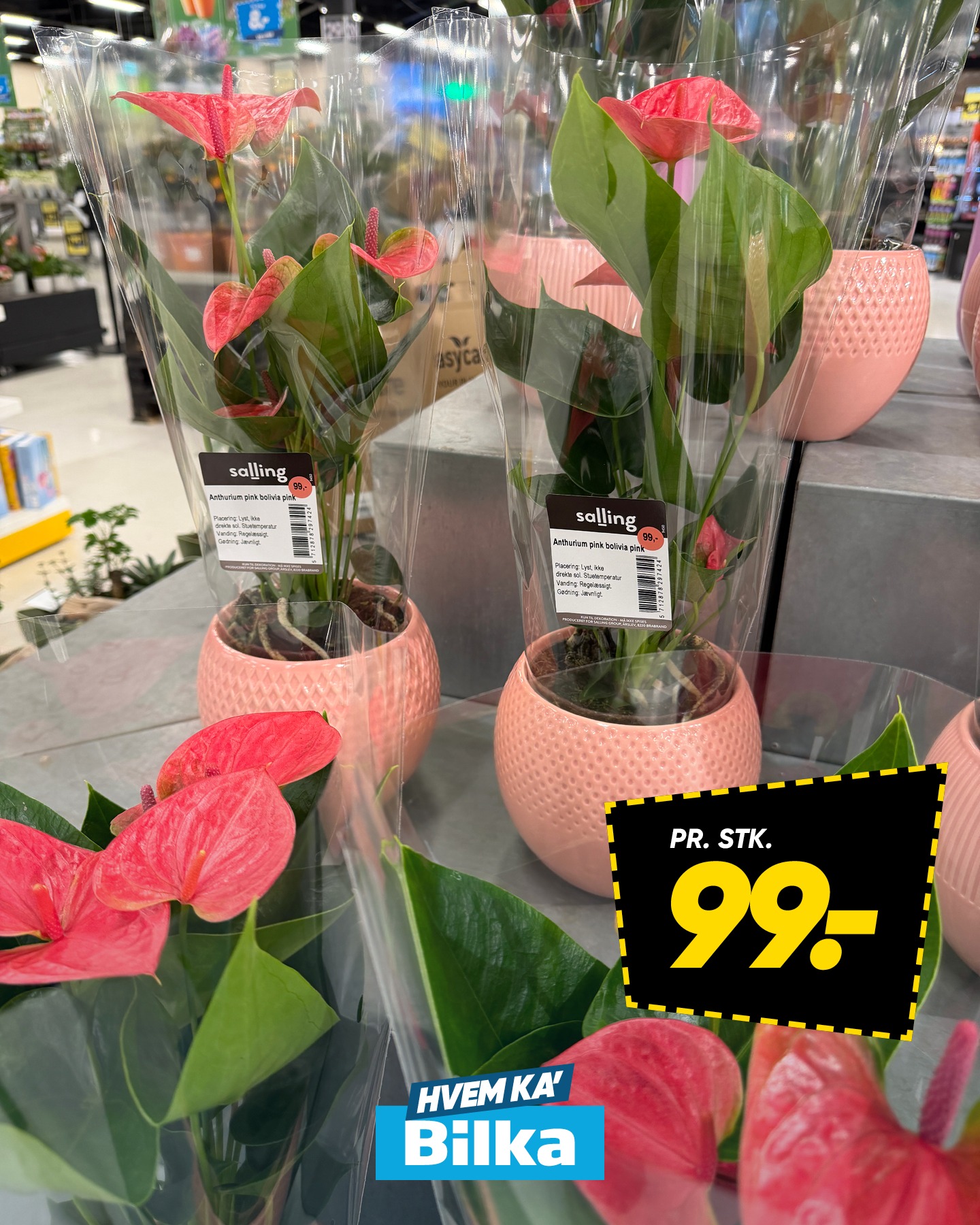 Bilka Facebook ad