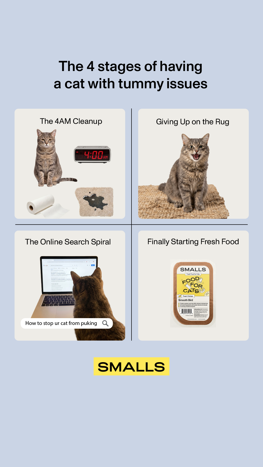 Smalls Facebook ad