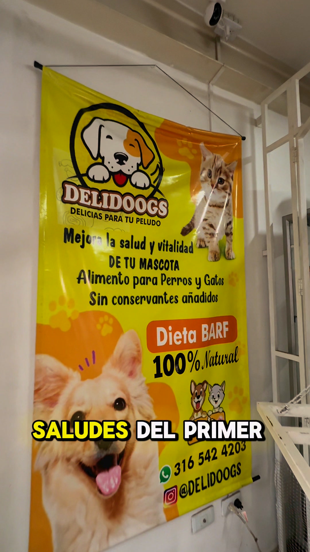 DeliDoogs Facebook ad: Quiero la oferta de la dieta BARF