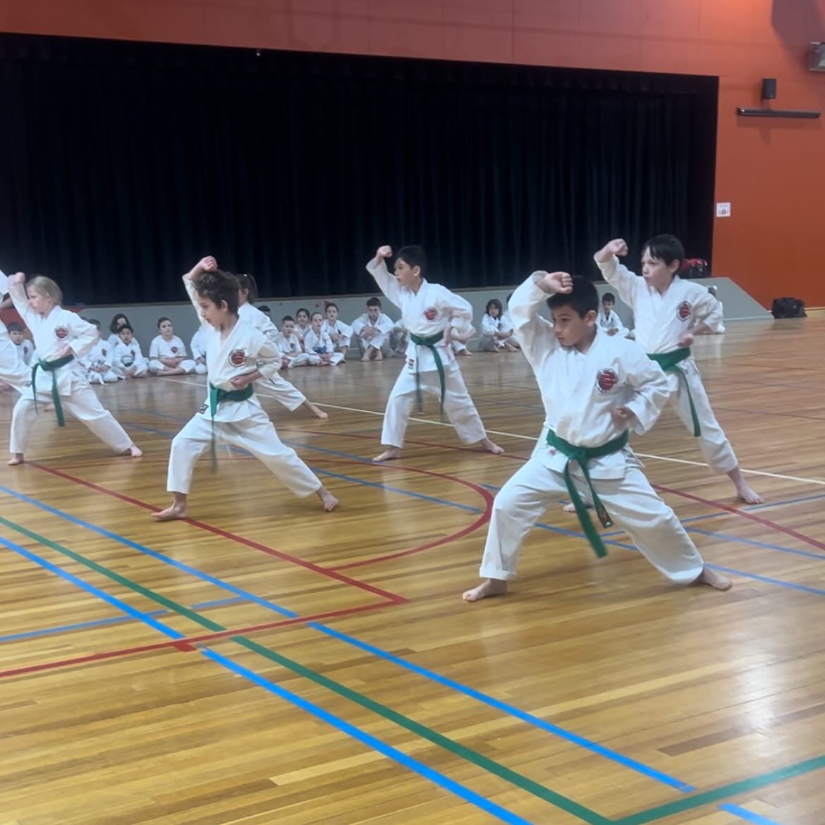 Shindo Karate Williamstown Facebook ad