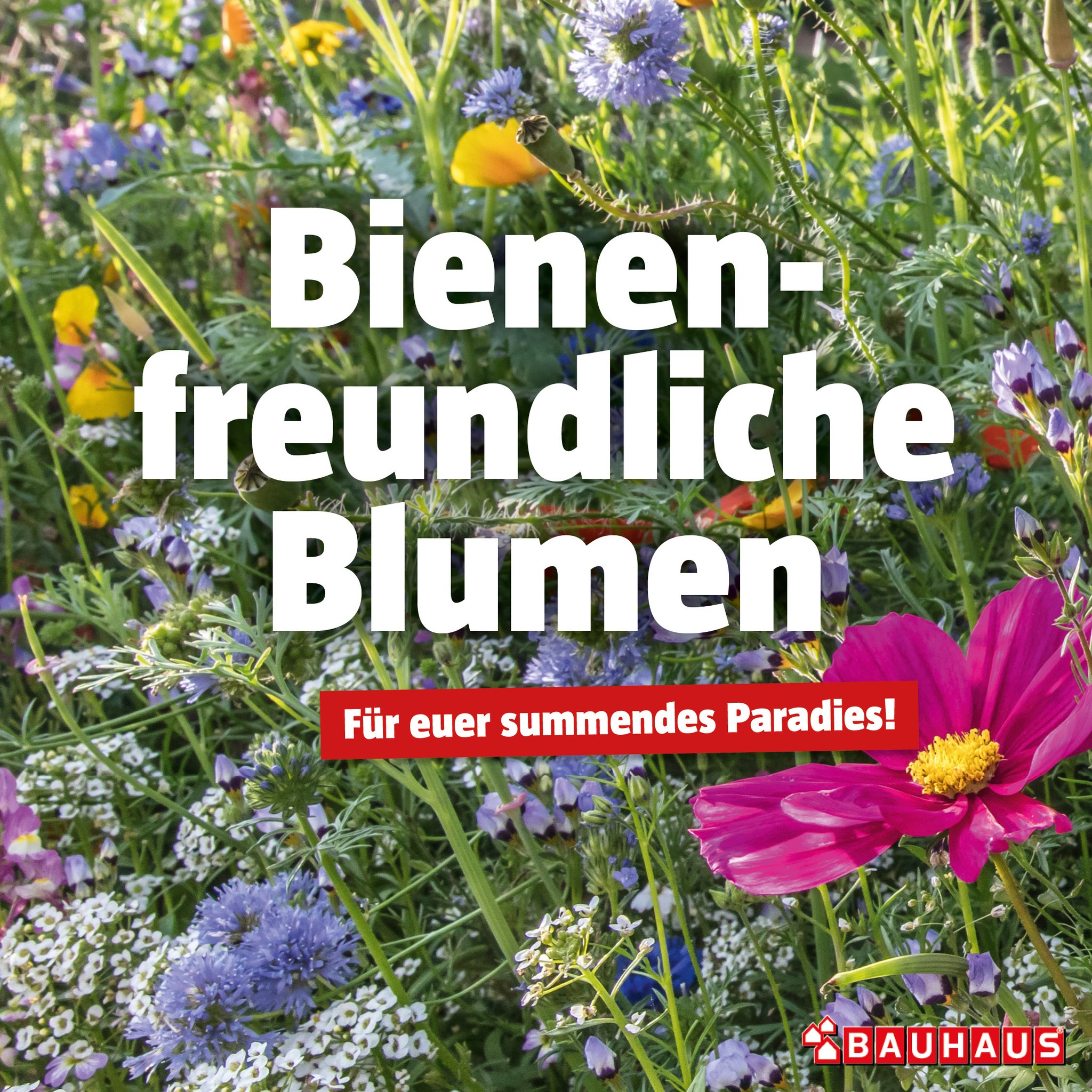 BAUHAUS Luxembourg Facebook ad