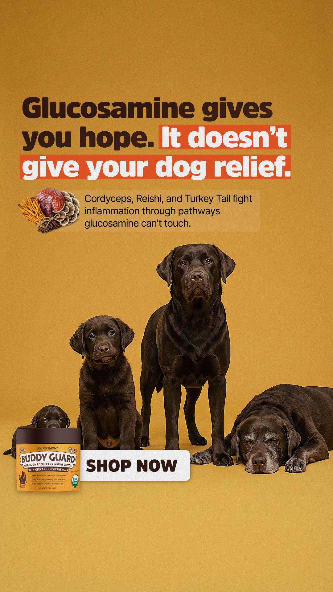 Well Pup Life Facebook ad