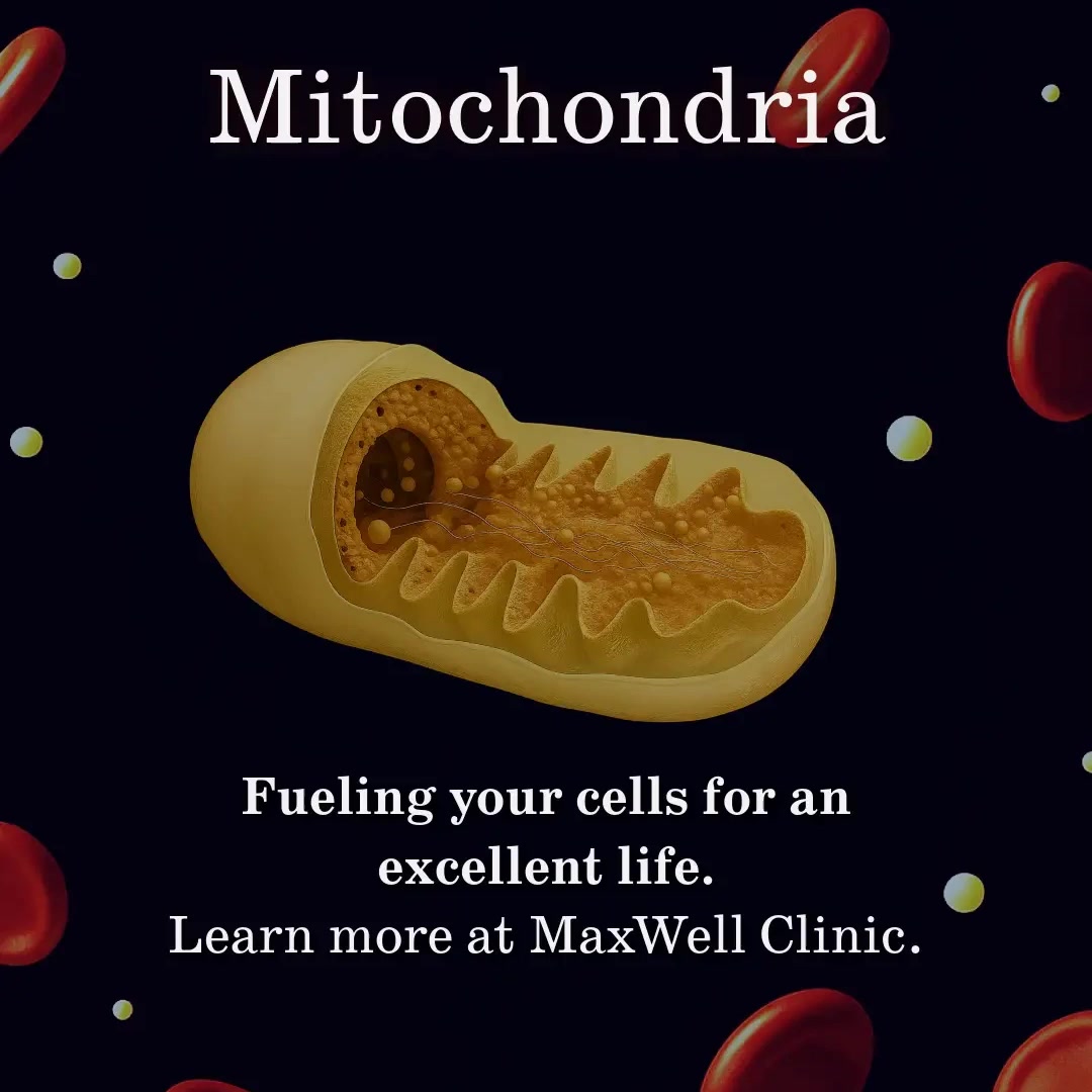 MaxWell Clinic Facebook ad from Sep 10, 2026
