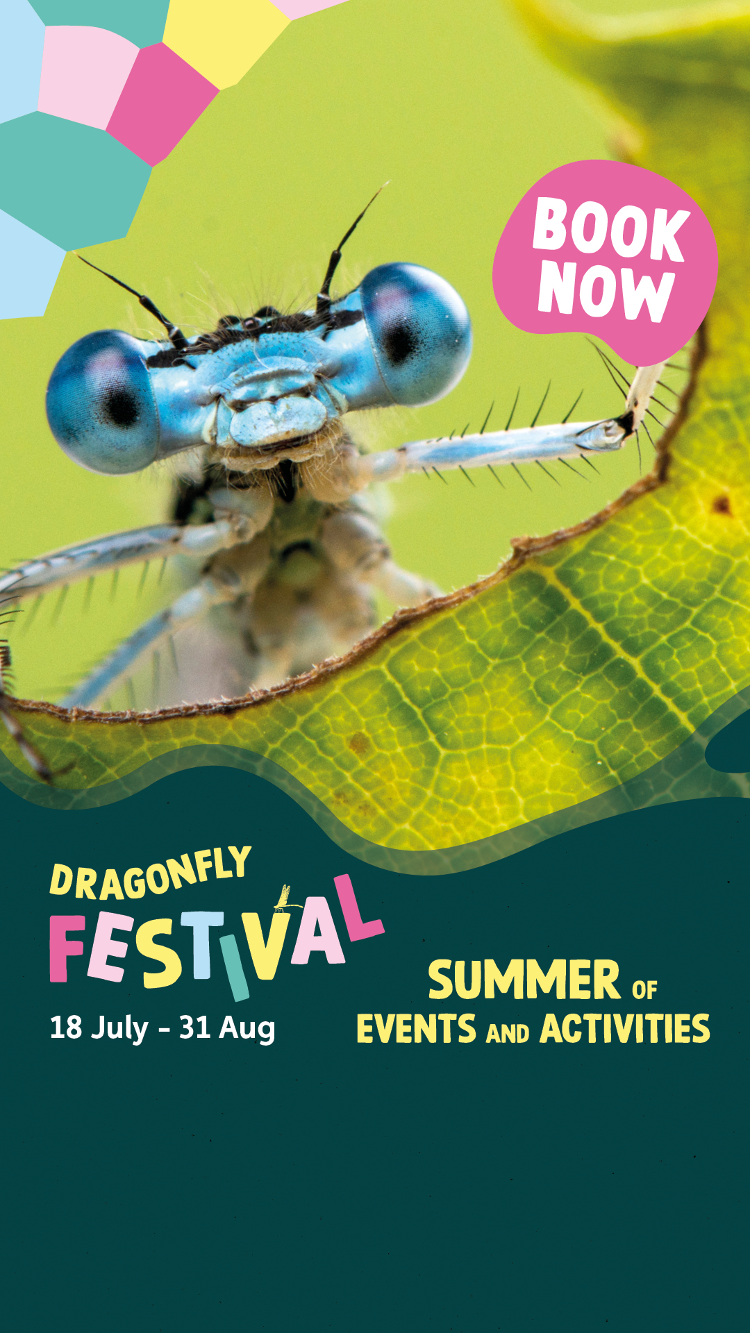 WWT Washington Wetland Centre Facebook ad from Jul 13, 2026