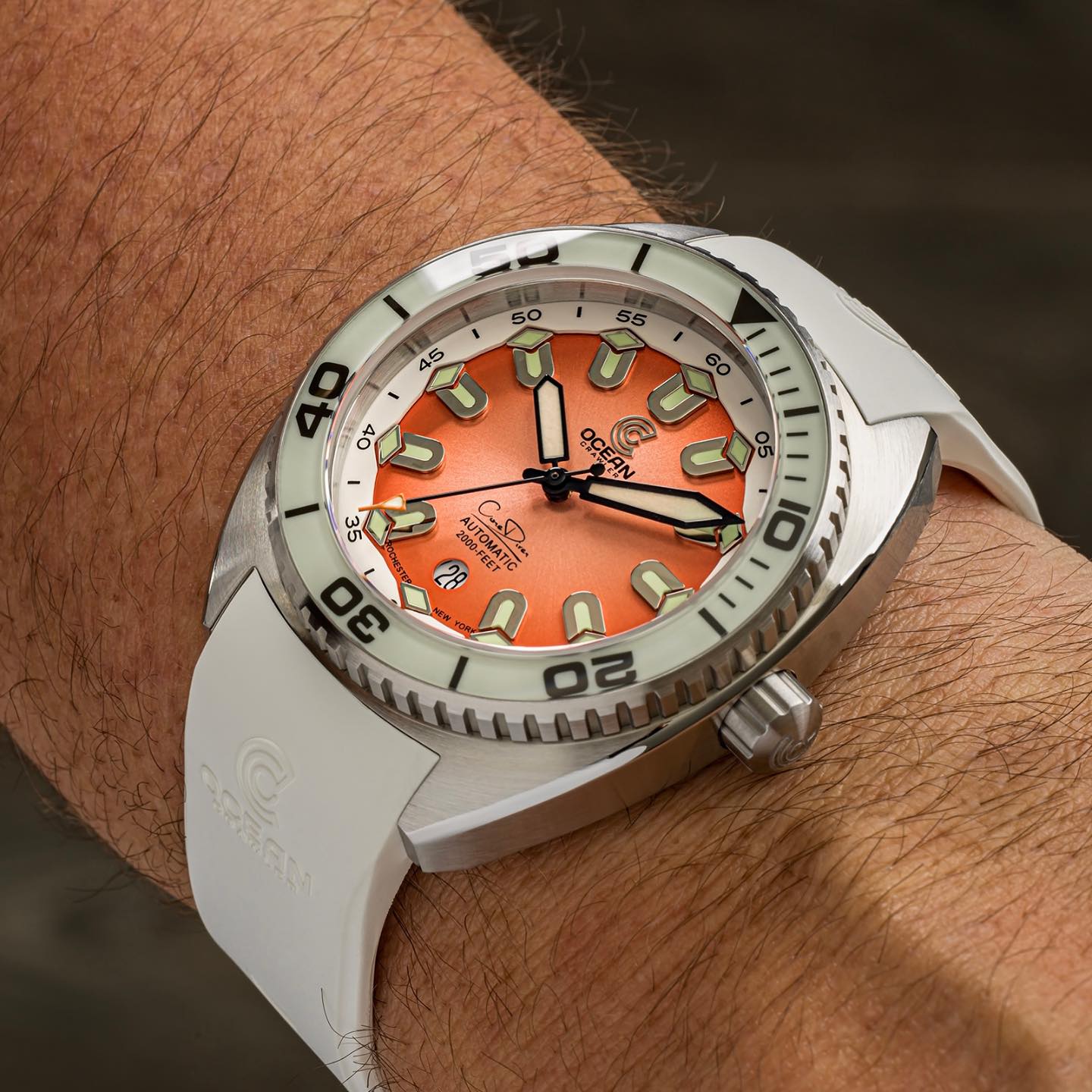 Ocean Crawler Facebook ad
