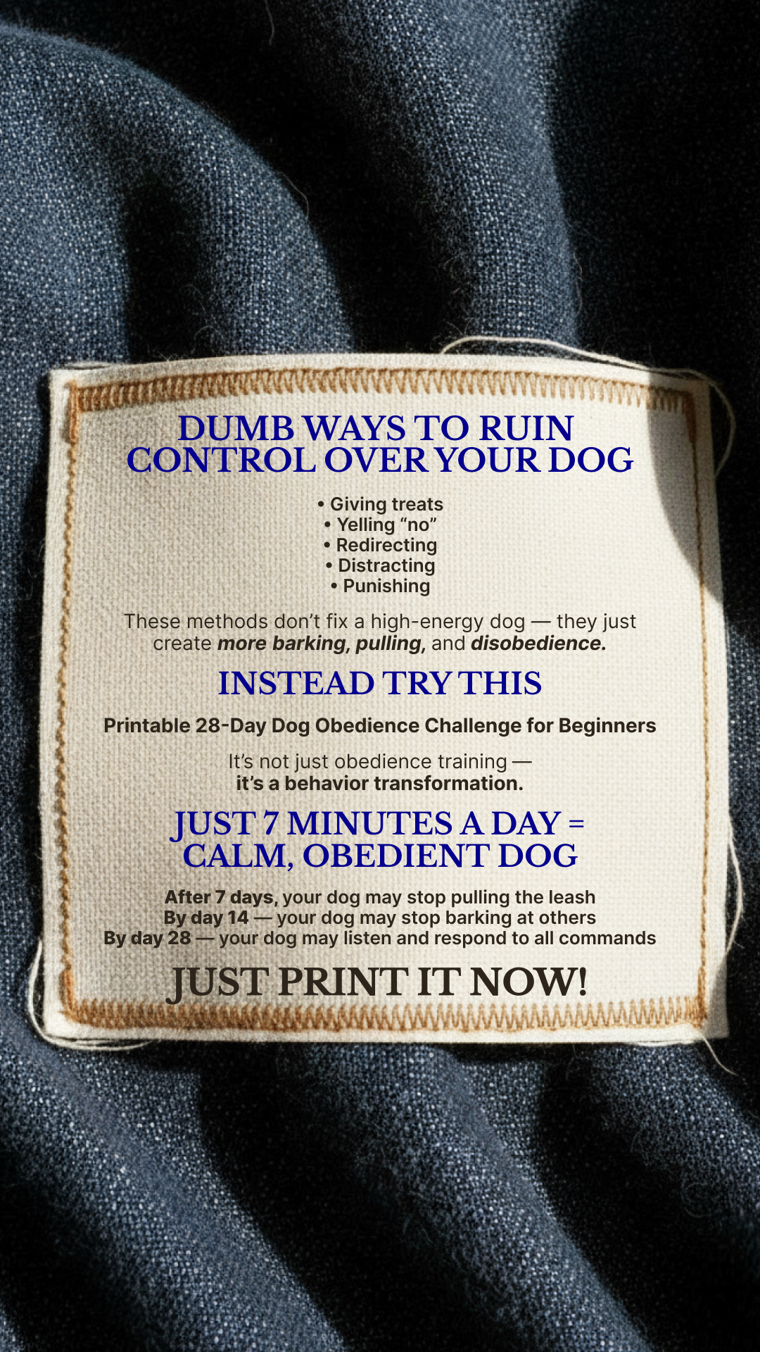 28 Day Dog Obedience Challenge Facebook ad