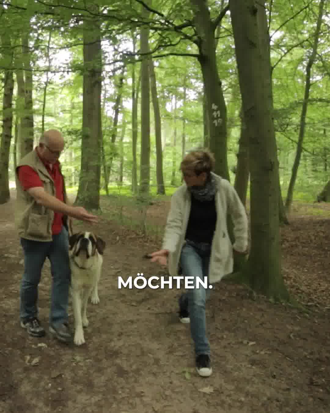Ziemer & Falke - Schulungszentrum für Hundetrainer Facebook ad: Hundetrainer/in werden Ein Webinar - Alle Infos!