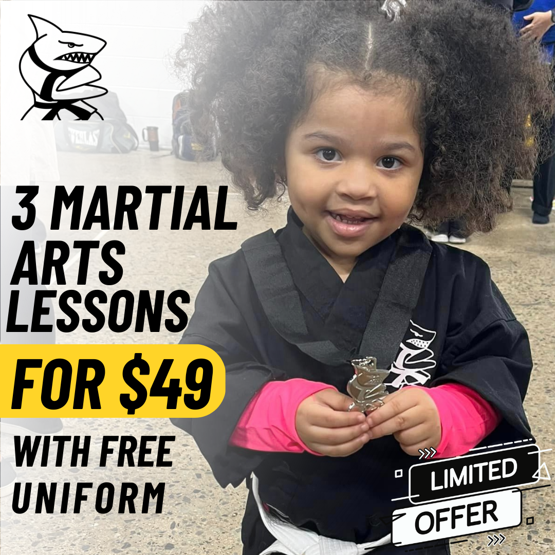 Action Karate South Philly Facebook ad