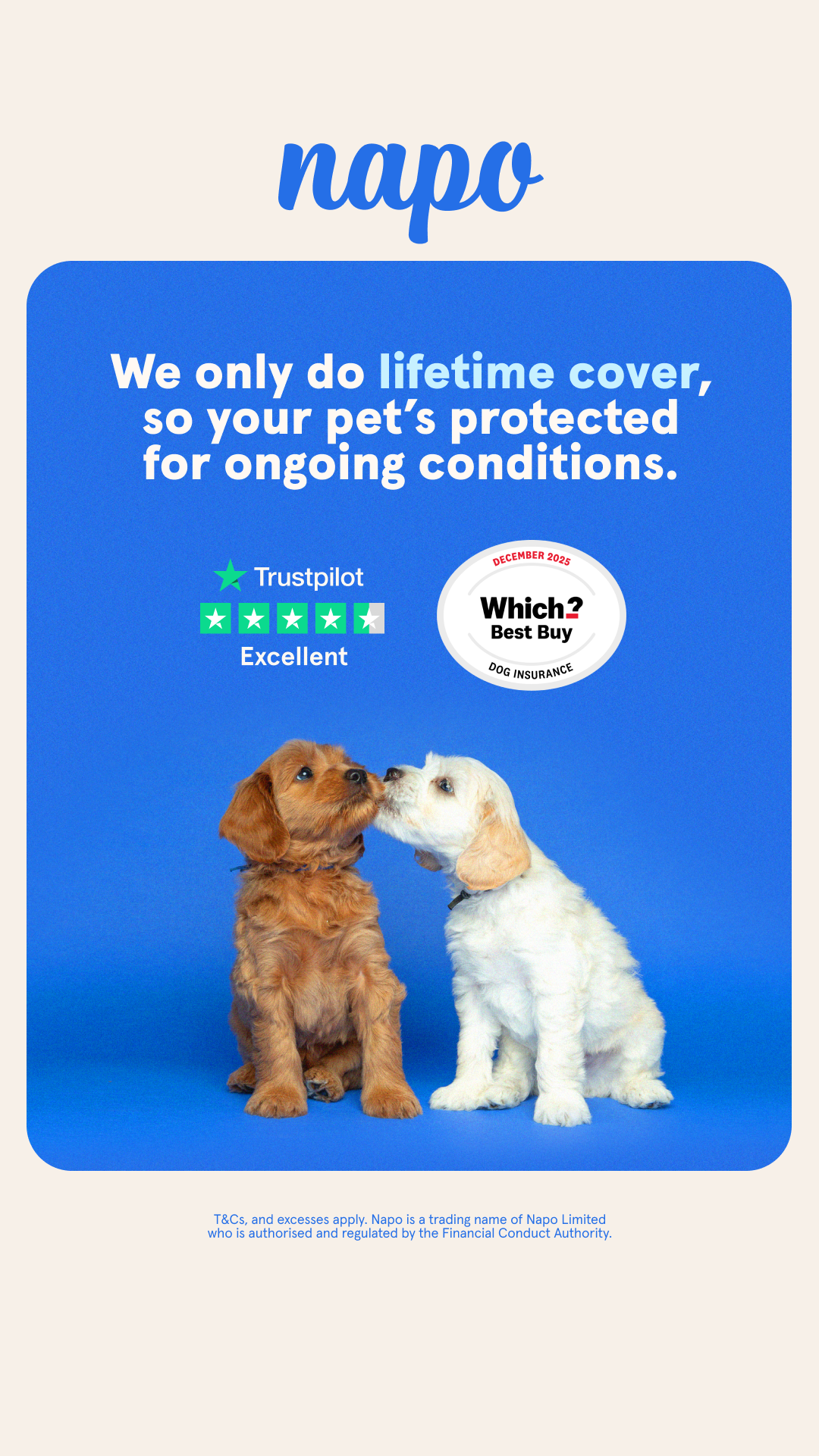 Napo Pet Insurance Facebook ad