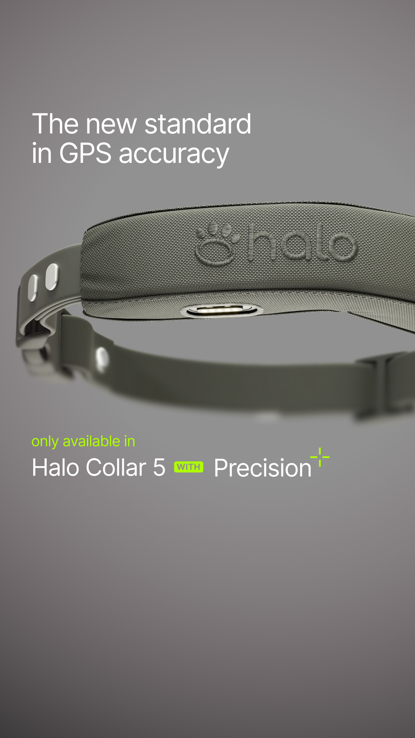 Halo Collar Facebook ad