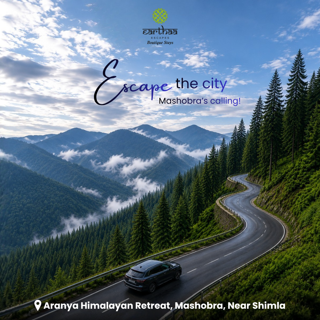 Earthaa Escapes Facebook ad: The city's loud.