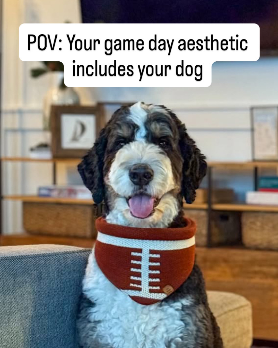 The Foggy Dog Facebook ad