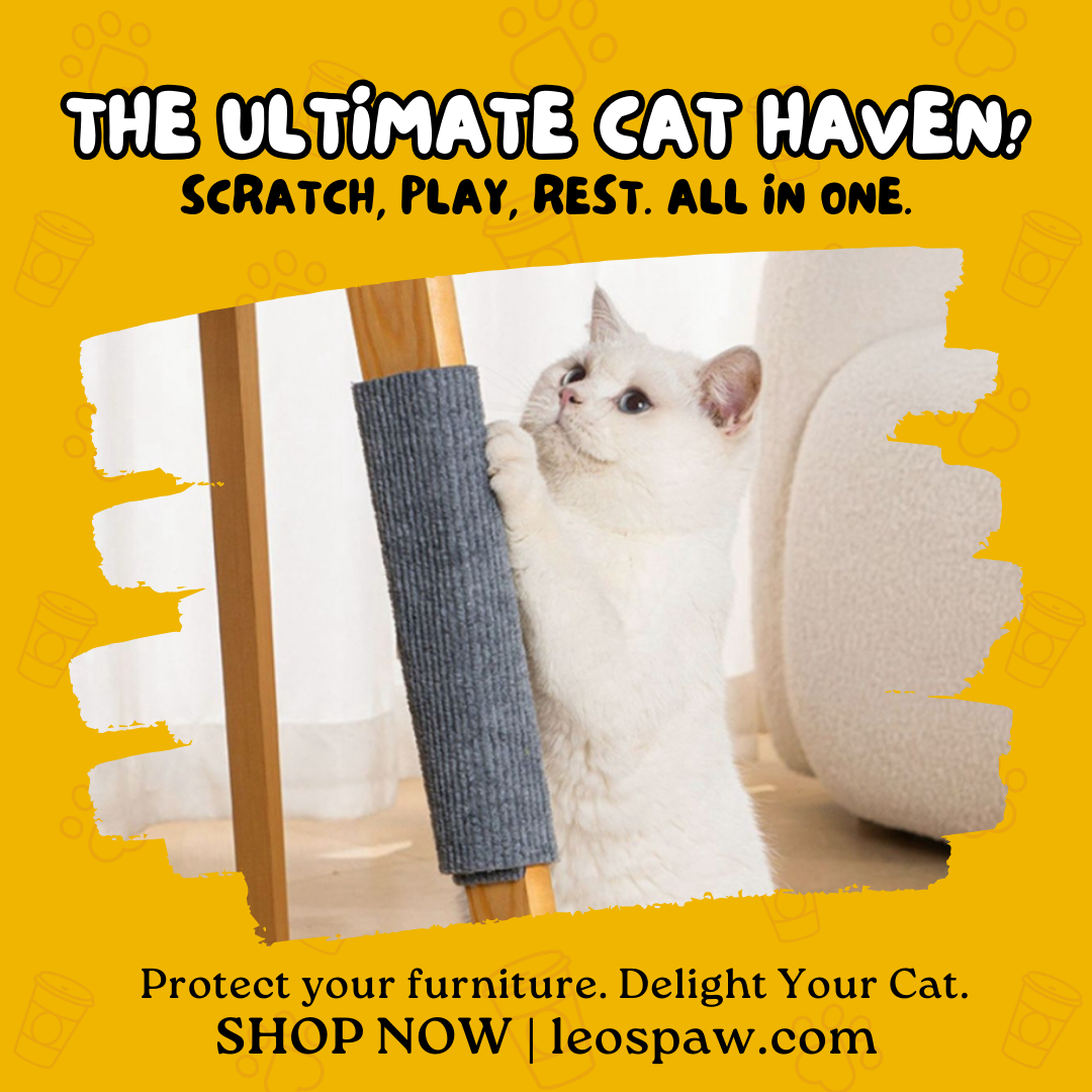 Leo's Paw Facebook ad