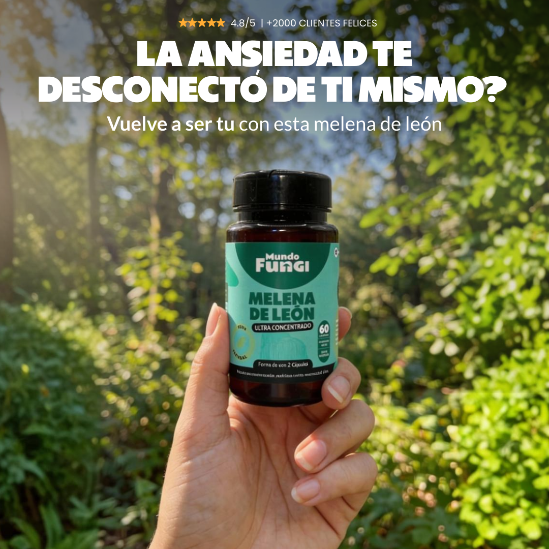 Mundo Fungi Facebook ad