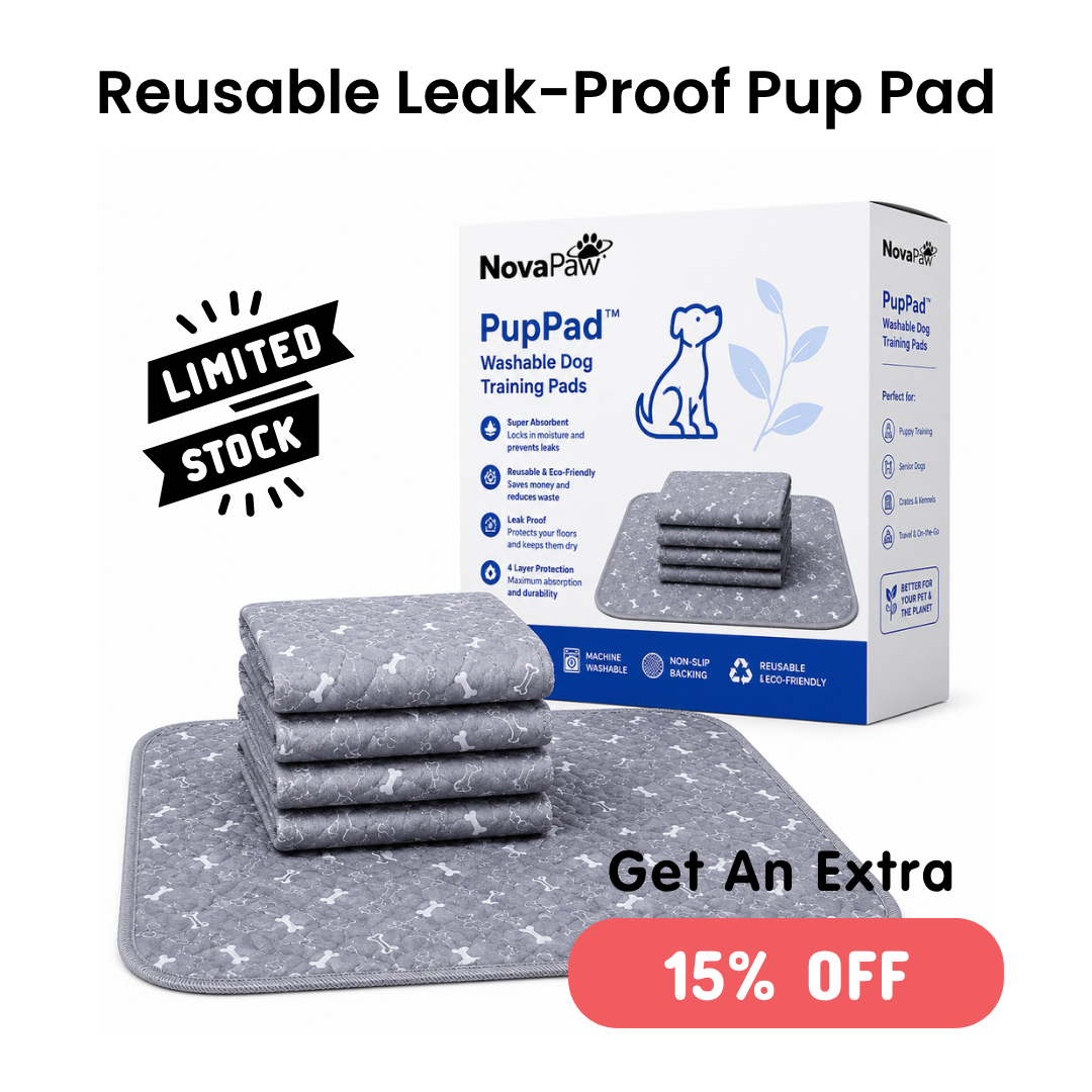 Priscilla Brooks Facebook ad