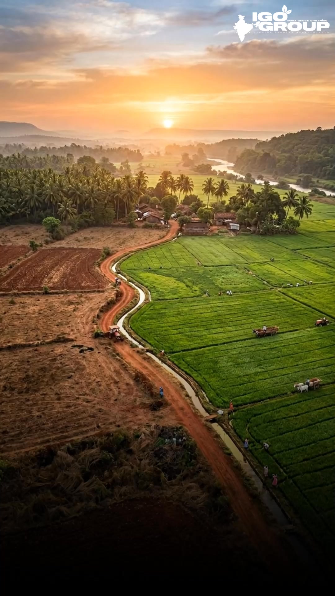 IGO Agri Techfarms Facebook ad: Turn Empty Land Into a Profitable Farming Project