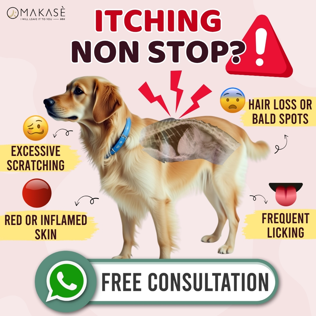 Omakase.pet Facebook ad
