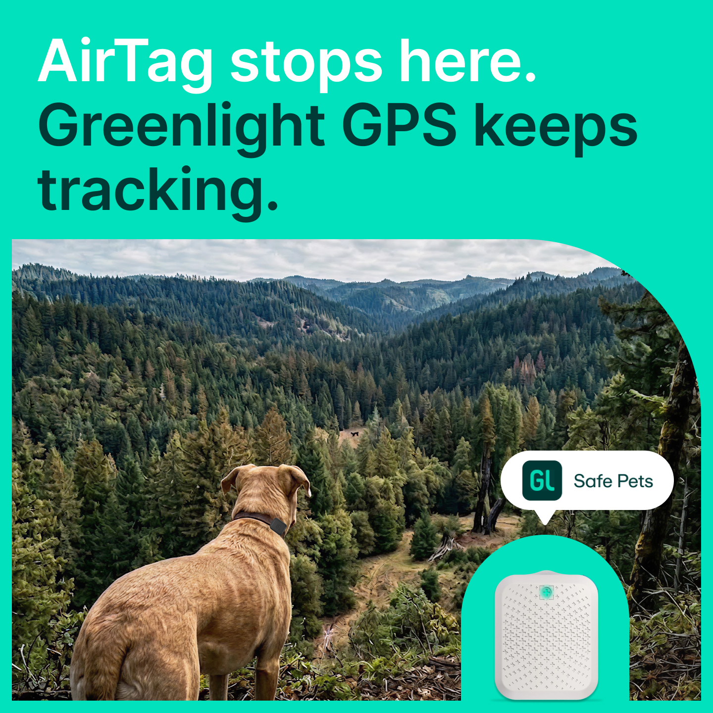 Greenlight Facebook ad