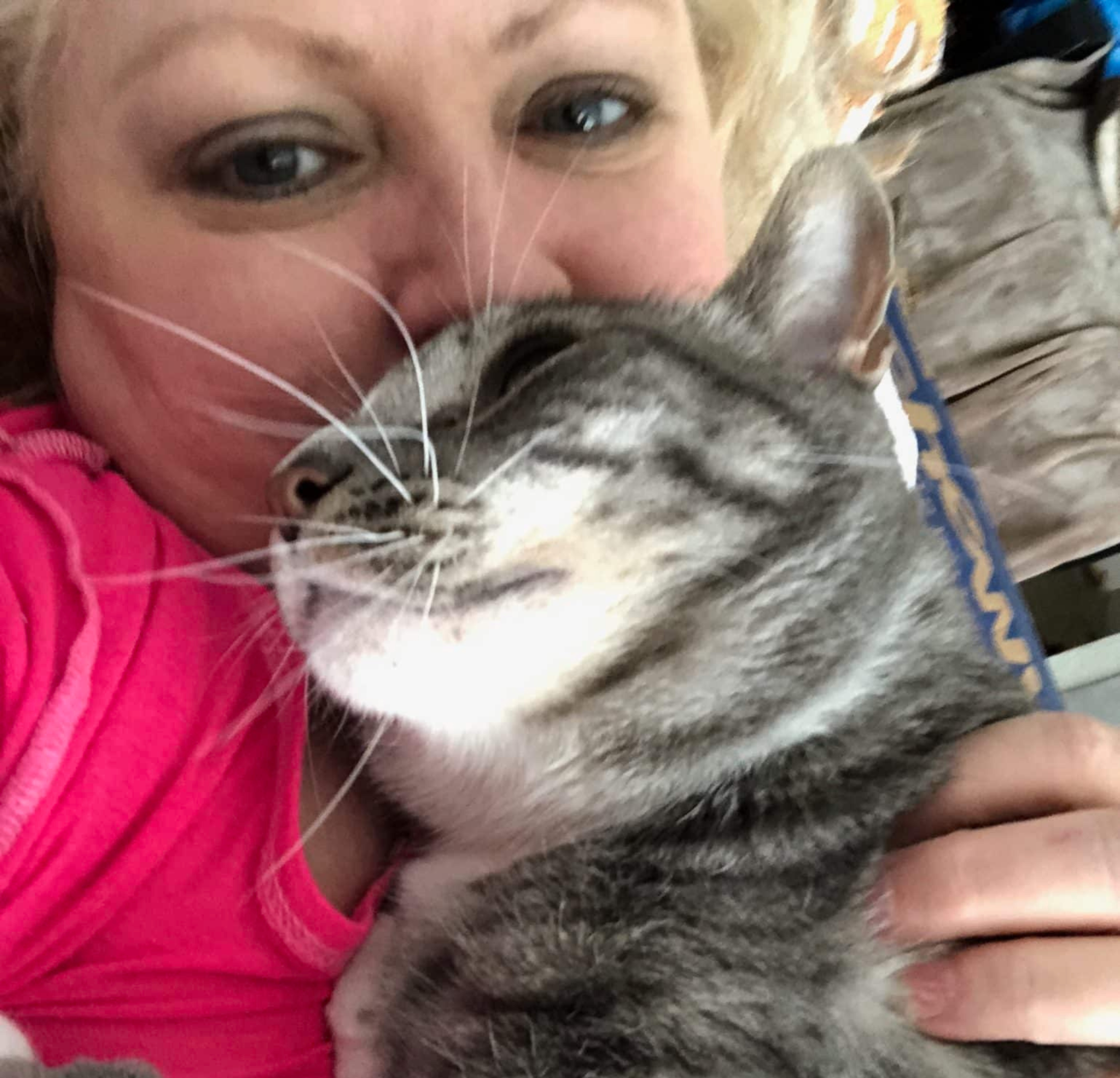 Vet approved products Facebook ad