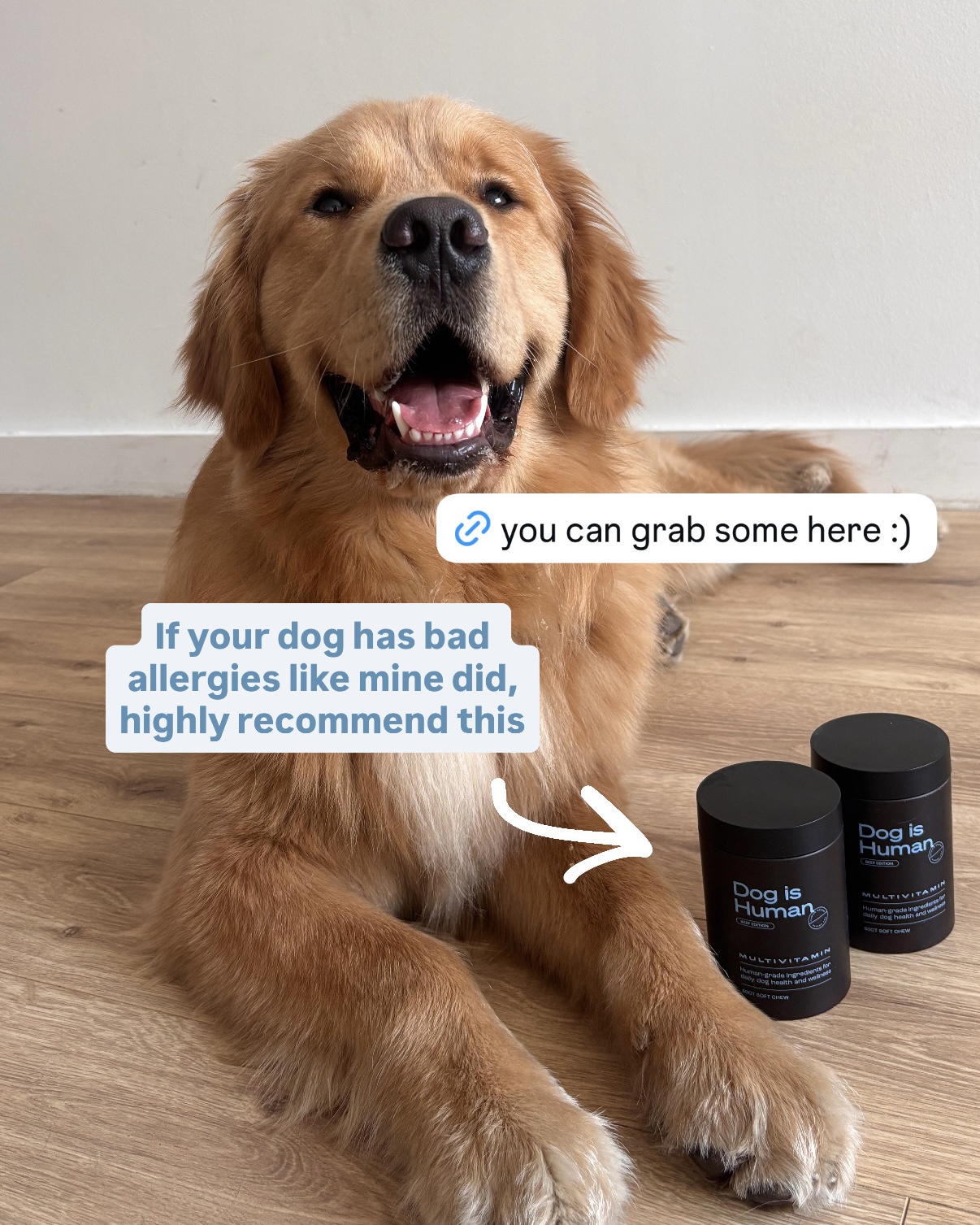 Dog is Human Facebook ad