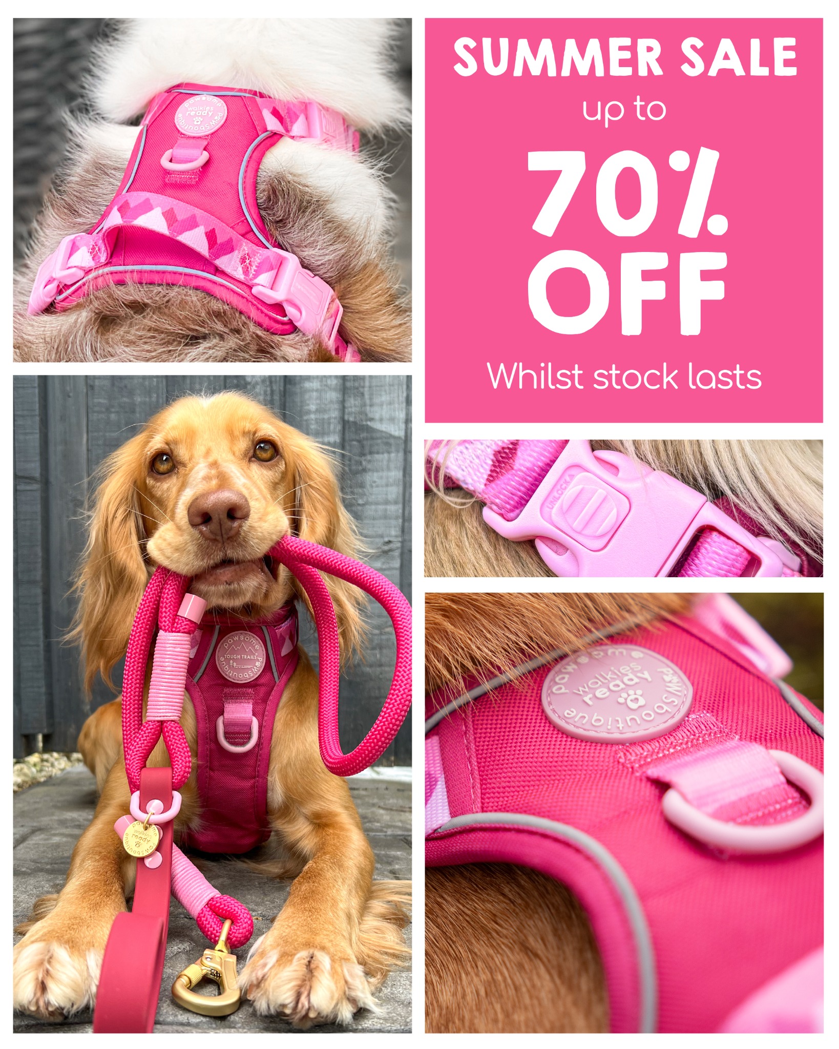 Pawsome Paws Boutique Facebook ad from Jul 8, 2026