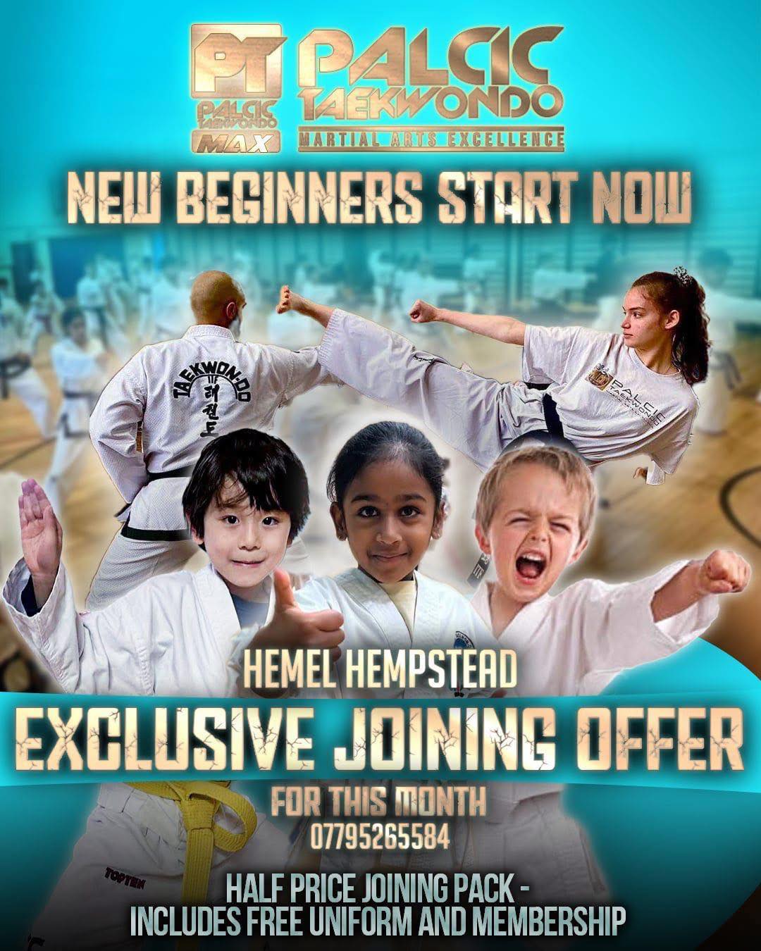 Palcic Taekwondo Hemel Facebook ad