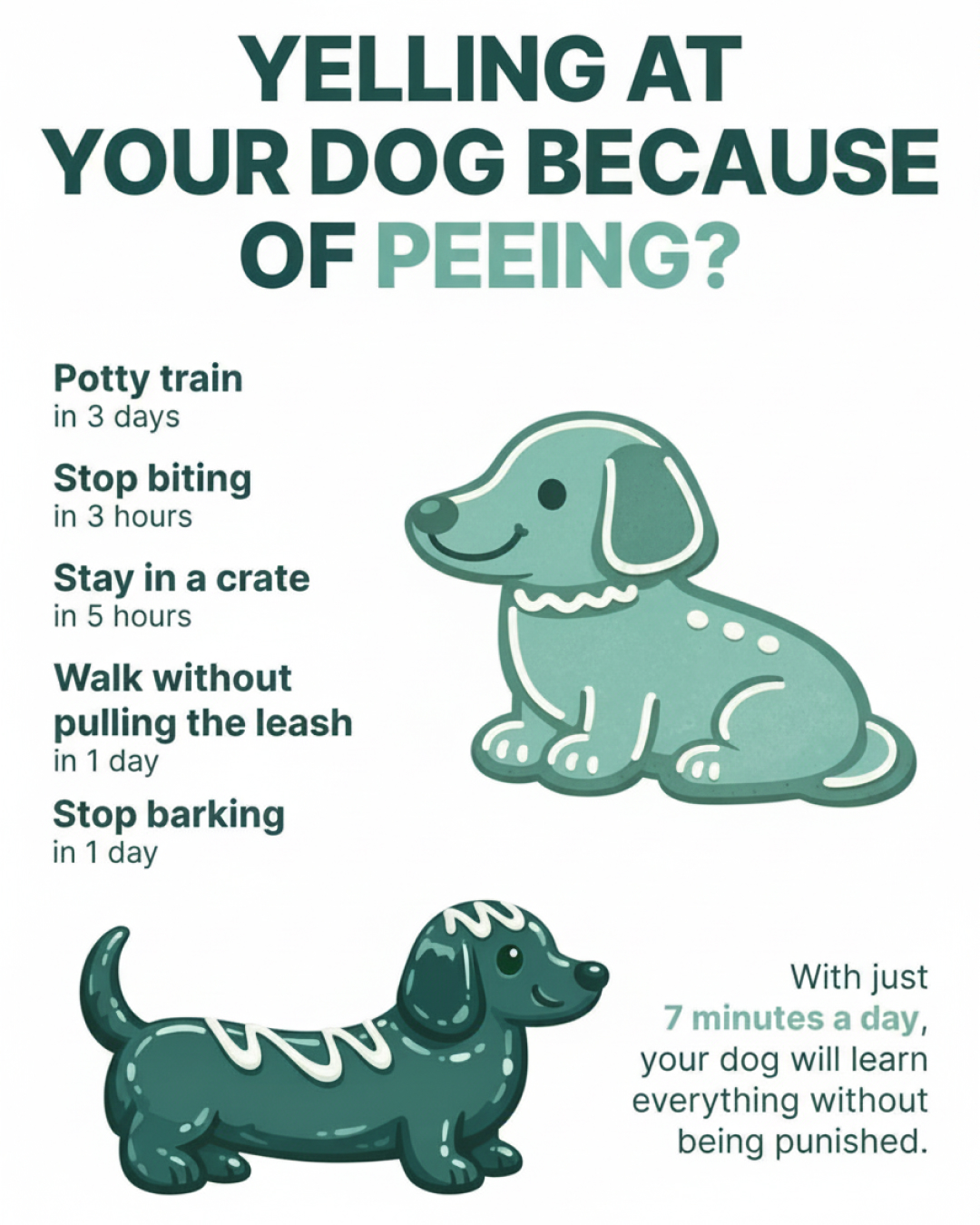 Ben Your Puppy Trainer Facebook ad
