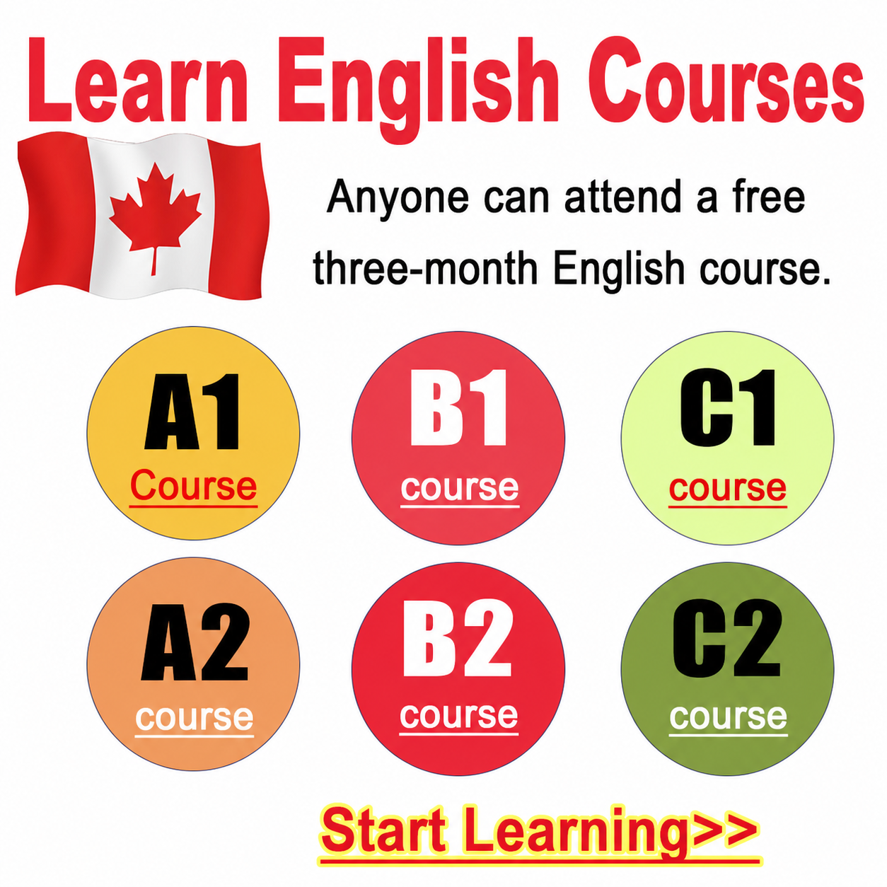 Freshmen Machamer Pinder Facebook ad: Online English Course With Certificate