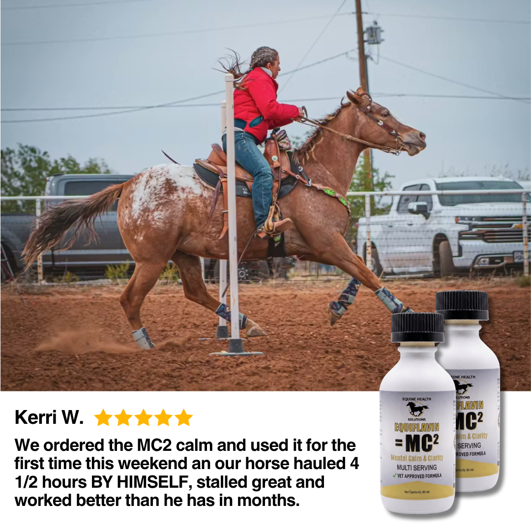 Equine Health Solutions Facebook ad