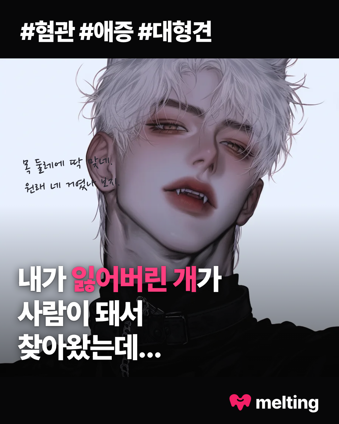 Melting : 나를 더 잘 기억하는 AI 채팅, 멜팅 Facebook ad