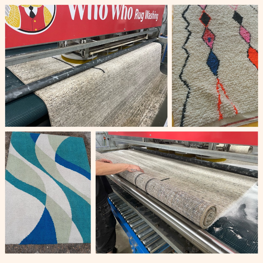 Who Who Carpet Cleaning & Pest Management Facebook ad