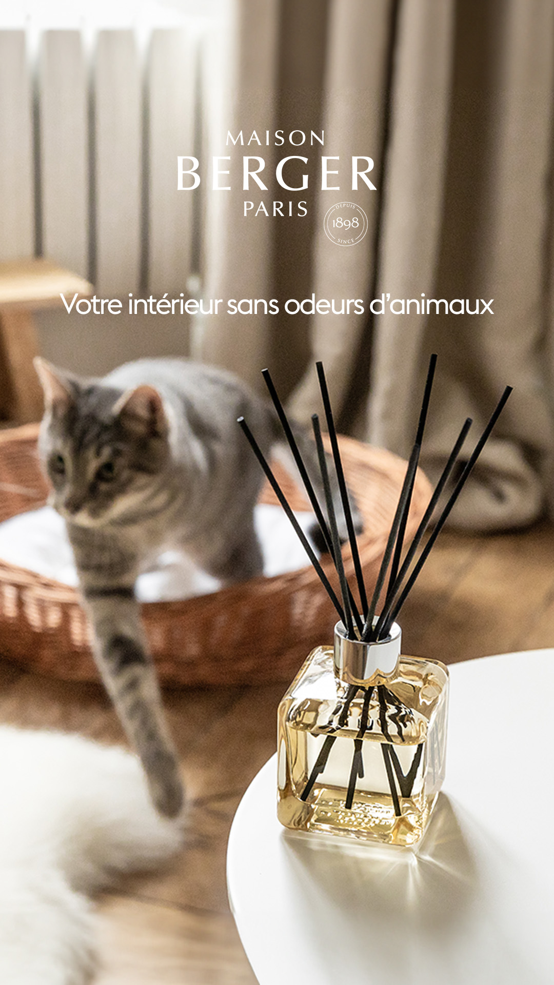 Maison Berger Paris Facebook ad