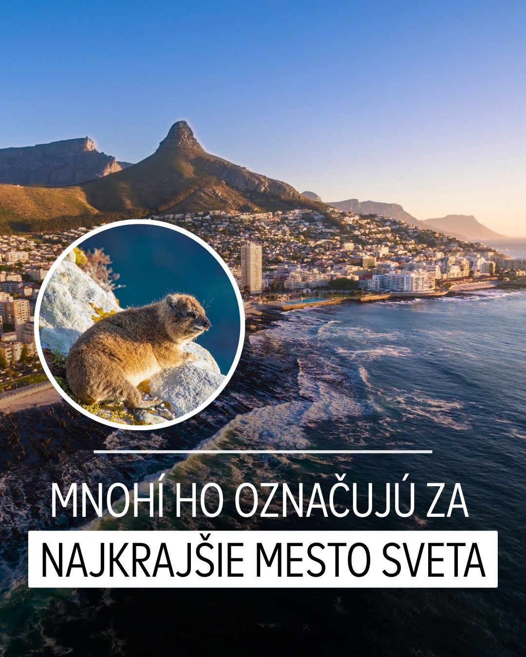 BUBO Facebook ad