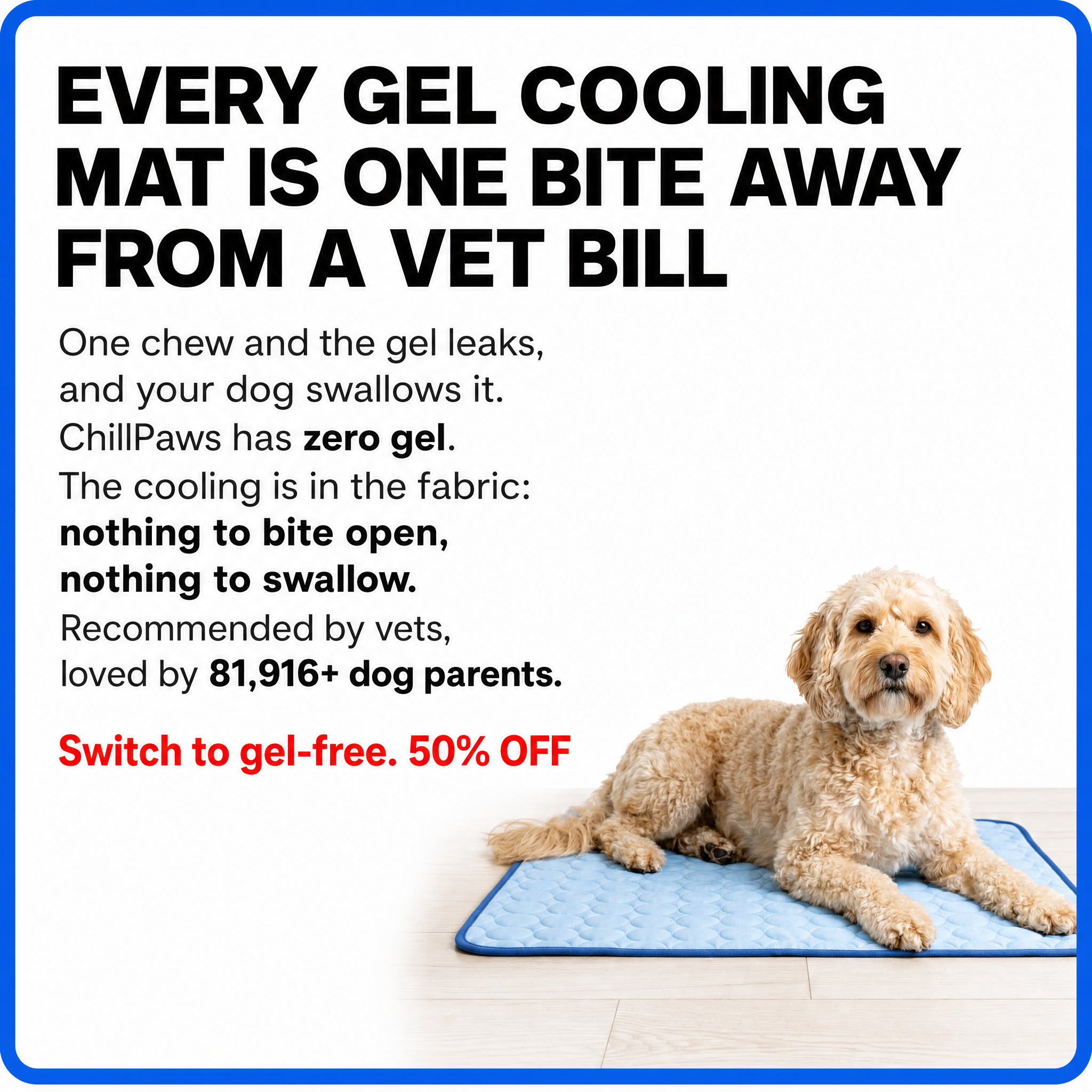 Rhykin Pet Co Facebook ad