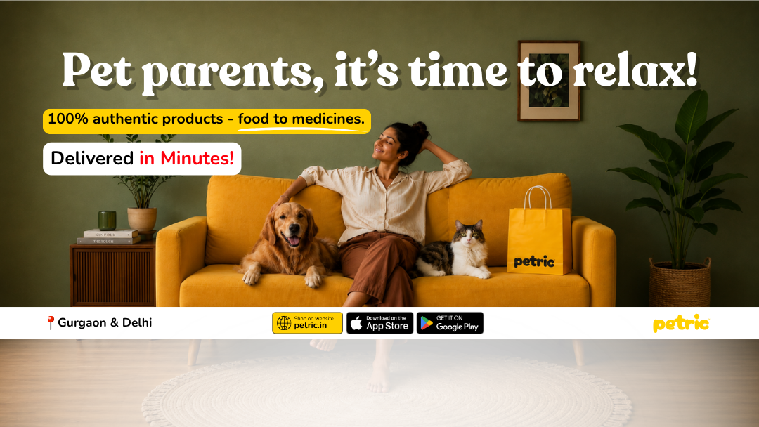 Petric Facebook ad: Over 2000 pet product - in minutes