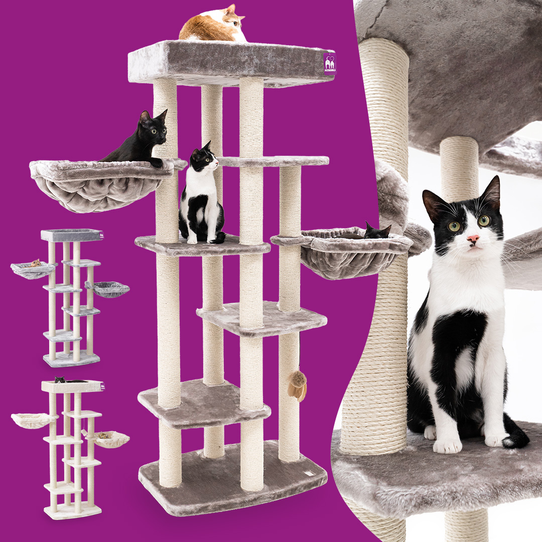 petrebels.com Facebook ad