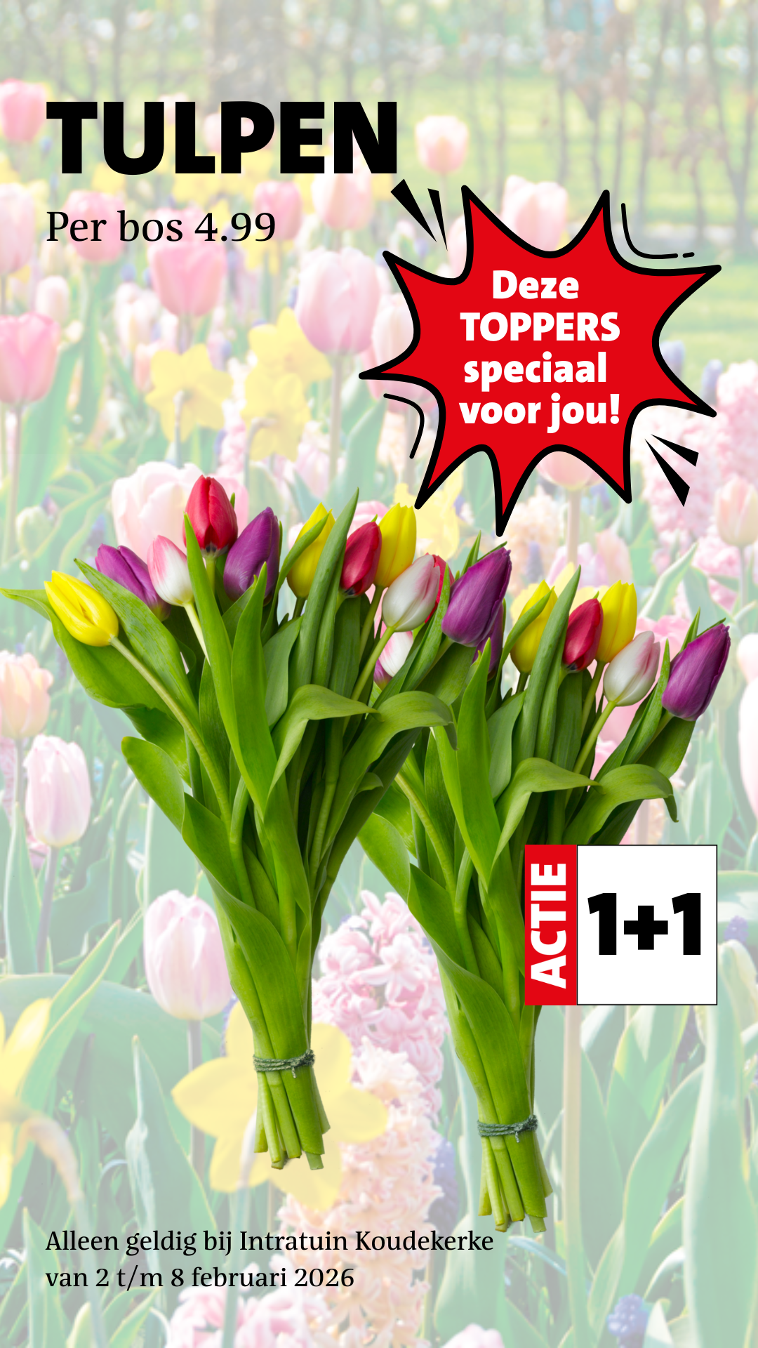 Intratuin Koudekerke Facebook ad