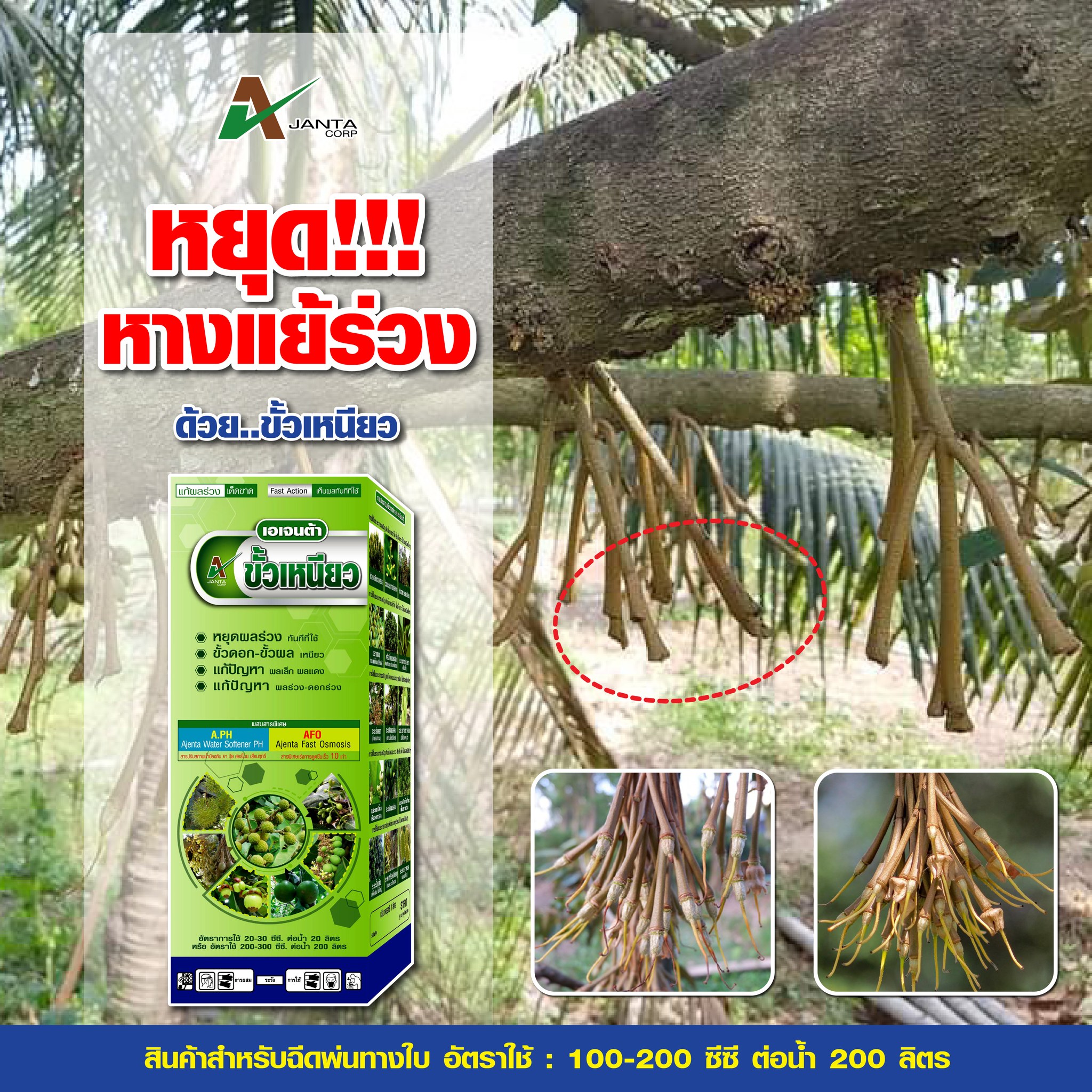 เอเจนต้า คอร์ป เพื่อนแท้เกษตรกร - Ajanta Corp Facebook ad