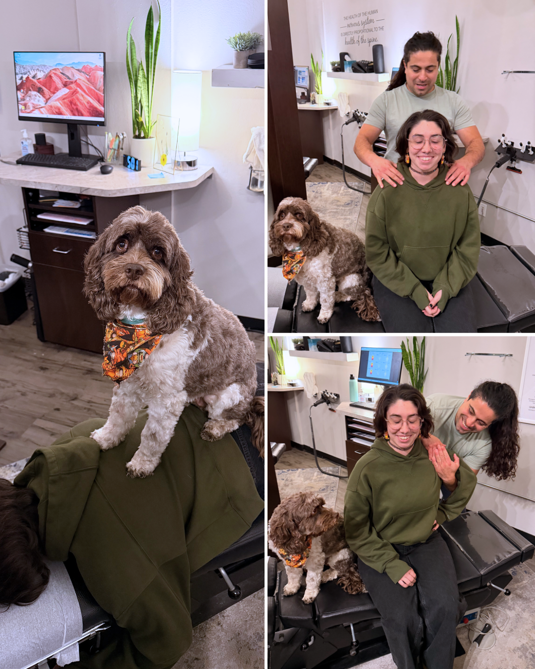 Dr. Nick Novakoski Facebook ad: $37 Chiropractic Screening & 1st Adjustment!