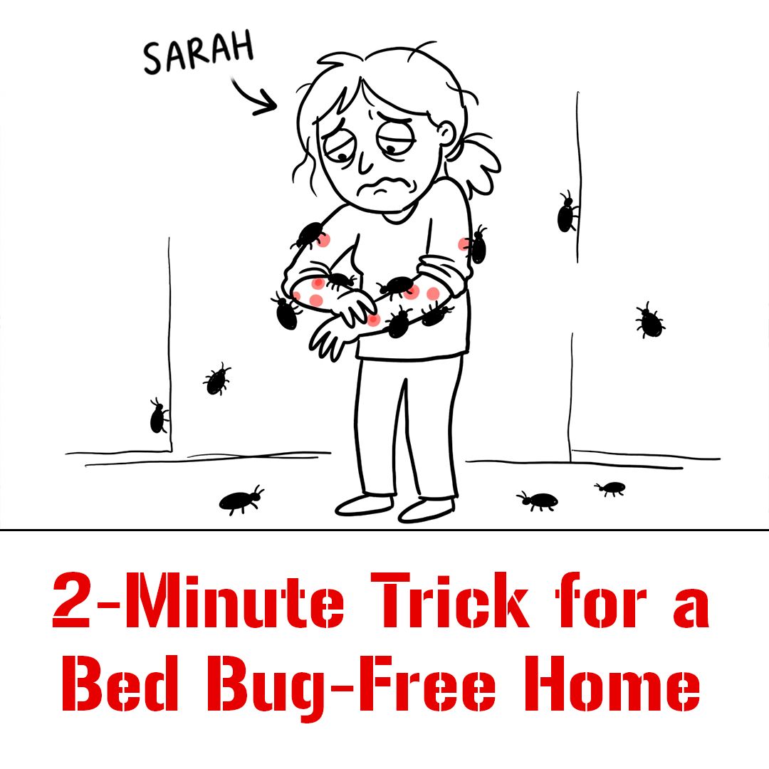 Ultimate Bed Bug Solution Facebook ad