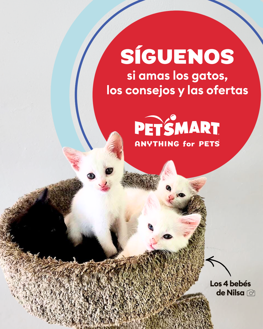 PetSmart Puerto Rico Facebook ad