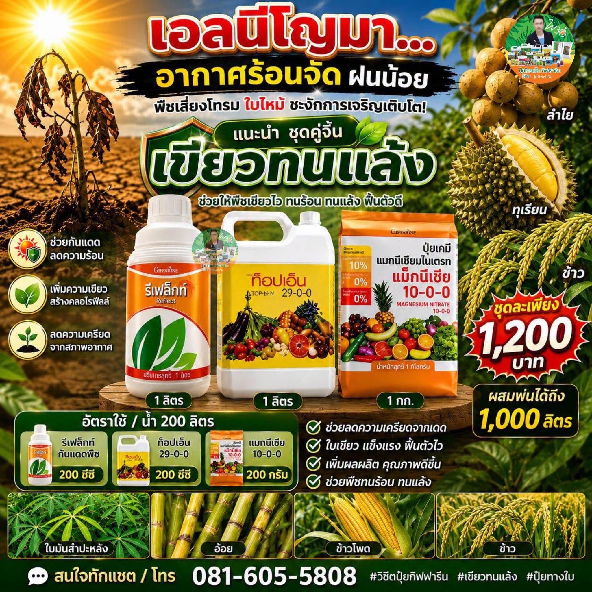 ปุ๋ยโกรแมกซ์คุณภาพสูง กิฟฟารีน คุณวิชิต0816055808 เพจหลัก รับตัวแทนขาย Facebook ad