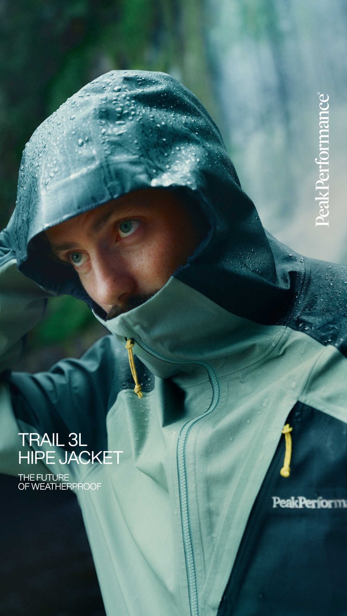 Peak Performance Facebook ad
