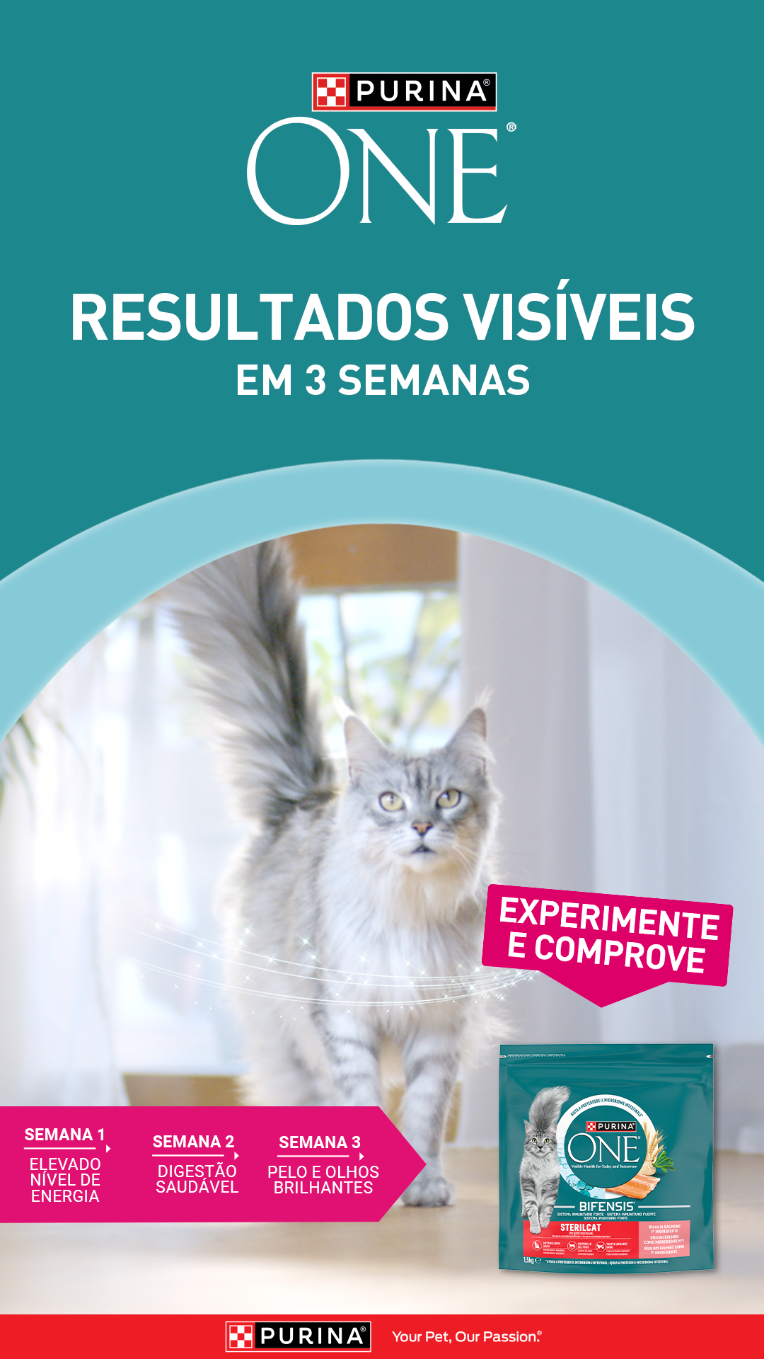 Purina Portugal Facebook ad from Jun 22, 2026