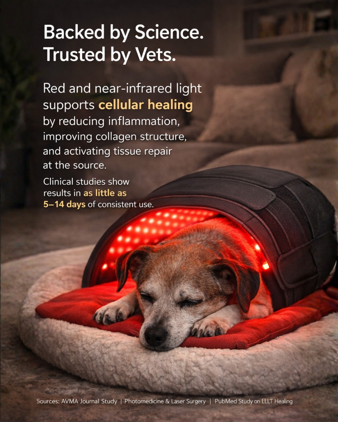 Therapet Co Facebook ad