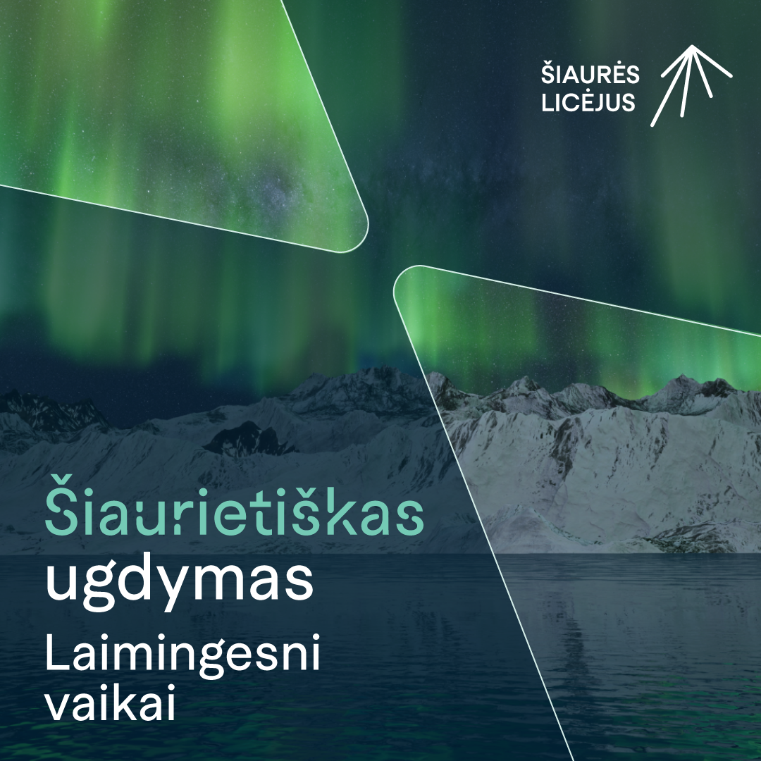 Šiaurės licėjus Facebook ad