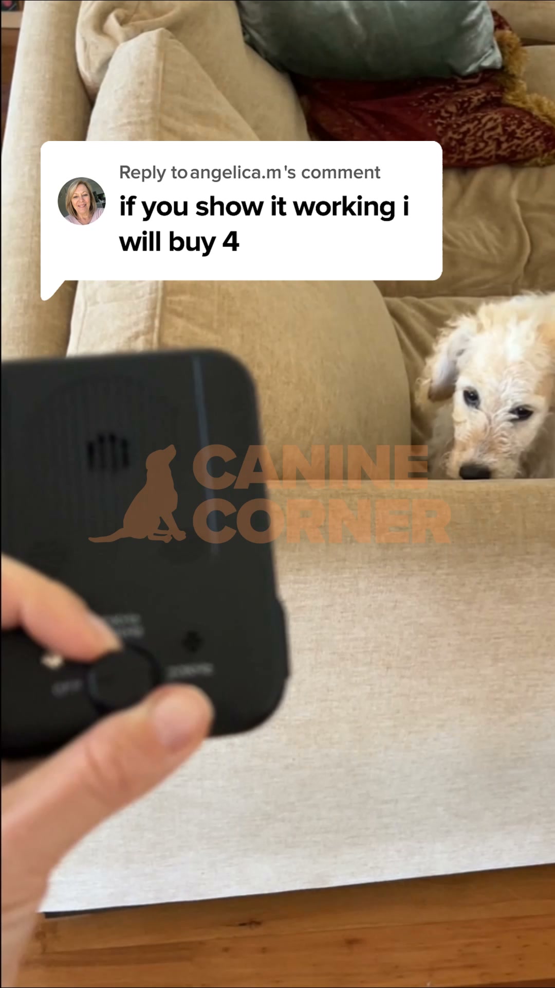 Canine Corner Australia Facebook ad: Watch It Stop the Barking
