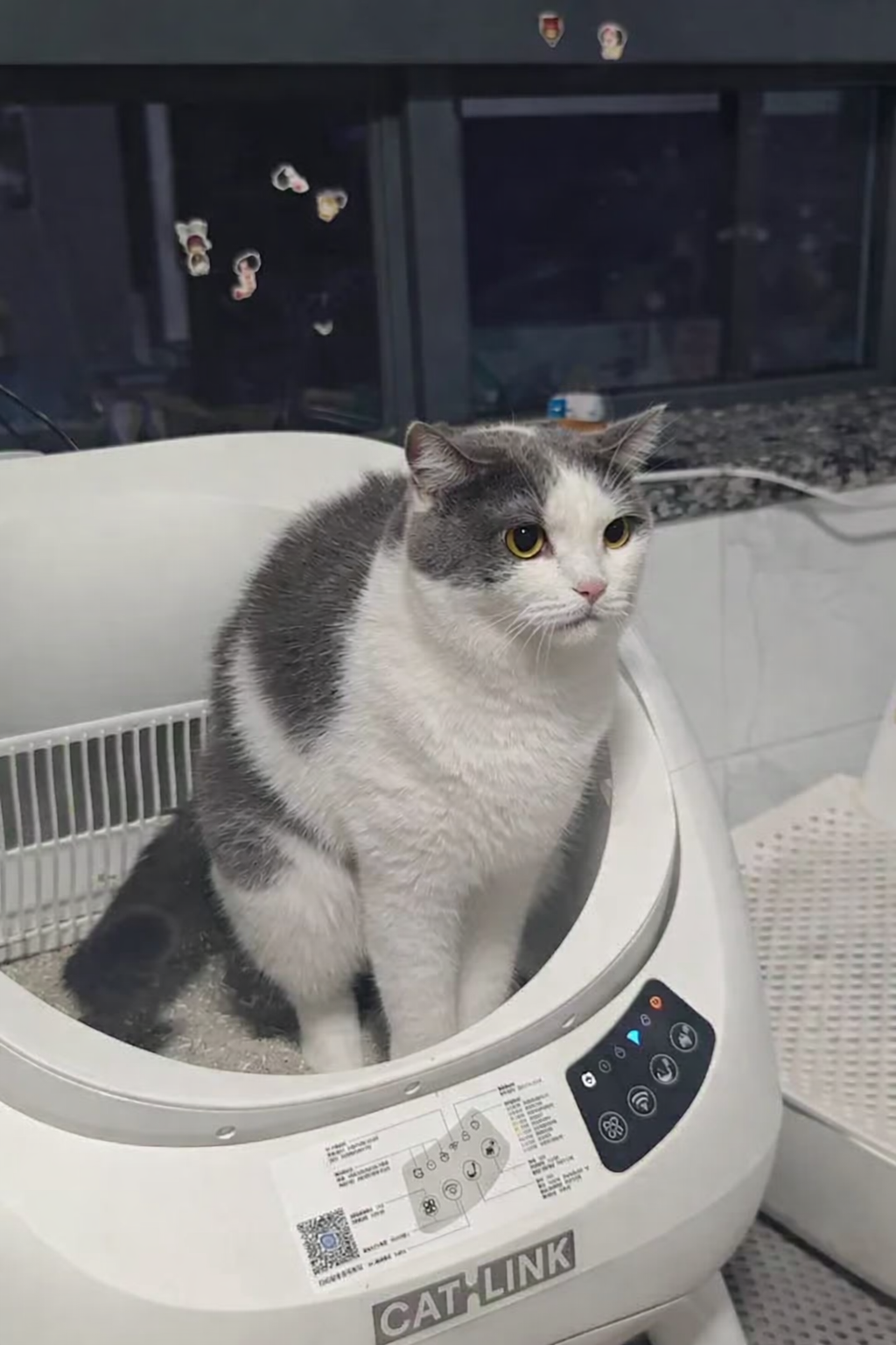 Catlink EU Facebook ad