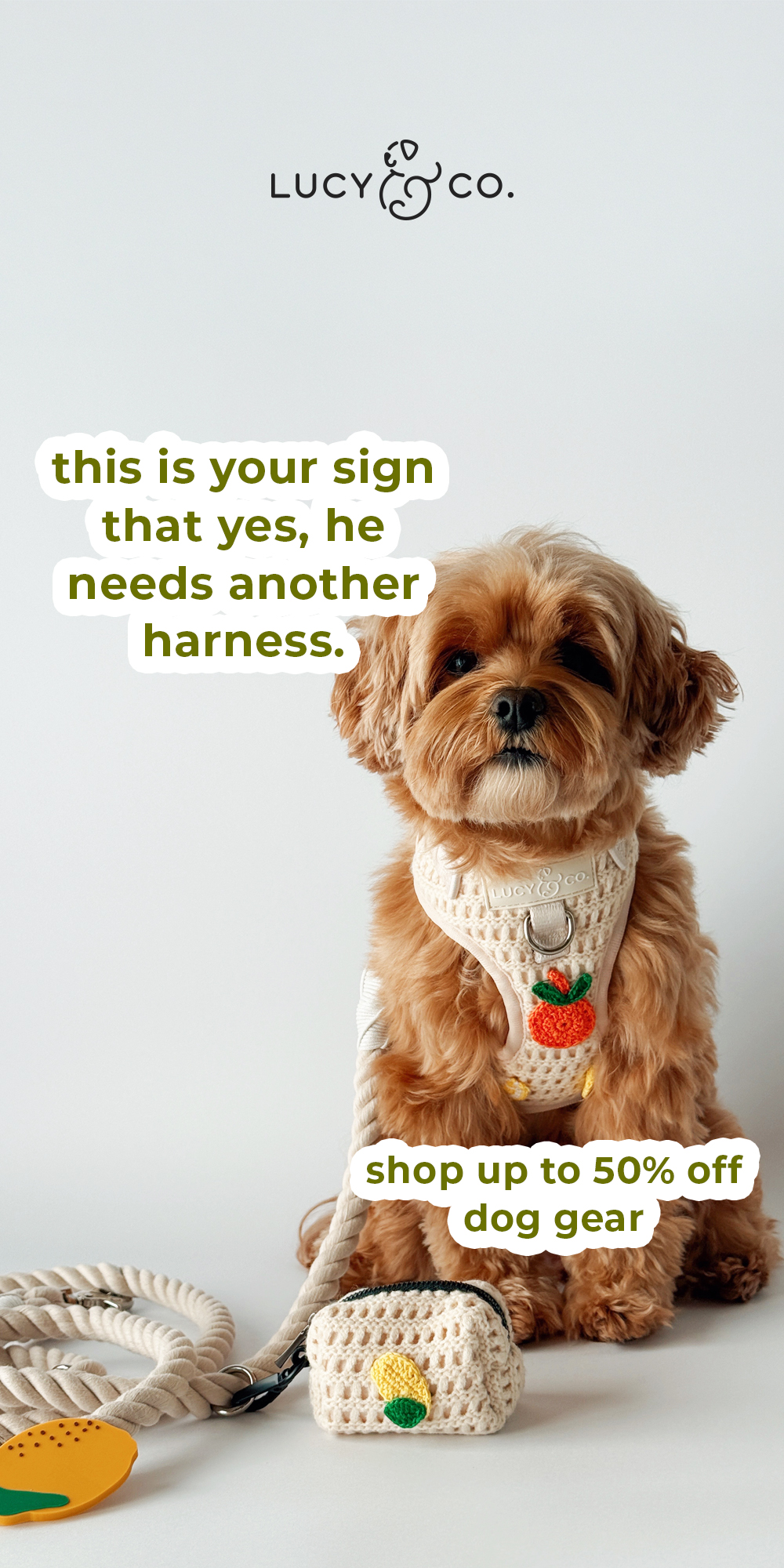 Lucy & Co. Facebook ad
