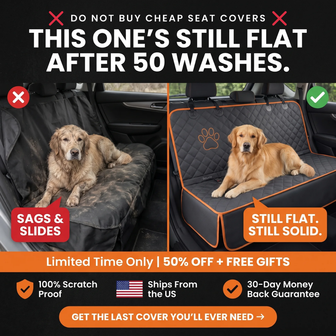 Soluvia Facebook ad: Your Dog Deserves Better.